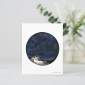 スターギャザー猫 (スタンド正面)