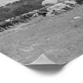 スターギーとデッドウッドの合間のオックス列車 ポスター (角)