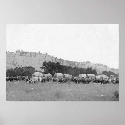 スターギーとデッドウッドの合間のオックス列車 ポスター (正面)