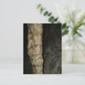 スタークティートカールスバッド ポストカード (スタンド正面)