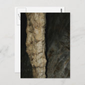 スタークティートカールスバッド ポストカード (正面/裏面)