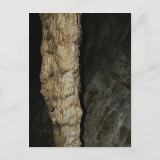 スタークティートカールスバッド ポストカード (正面)