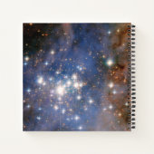 スタークラスタートランプラー14. ノートブック (裏面)