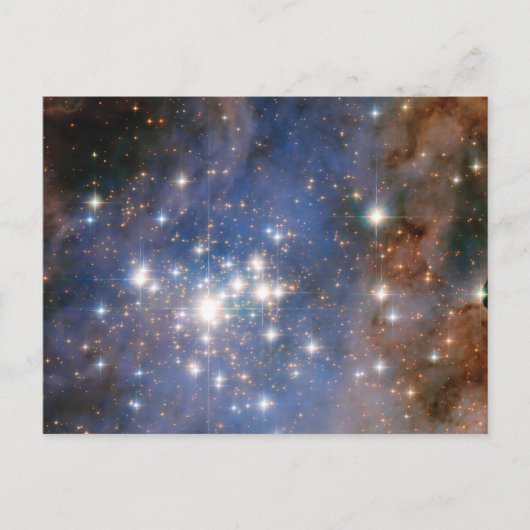 スタークラスタートランプラー14. ポストカード (正面)