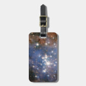 スタークラスタートランプラー14. ラゲッジタグ (正面縦)