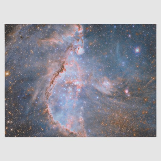 スタークラスターNGC 346 薄葉紙 (正面)