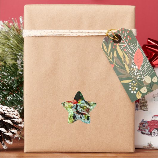 スターシール白抽象芸術テクスチャリサイクル 星シール (クリスマス)