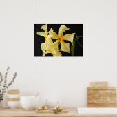 スタージャスミンフラワーウォプコンム ポスター (キッチン)