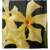 スタージャスミンフラワースカン シャワーカーテン (正面)