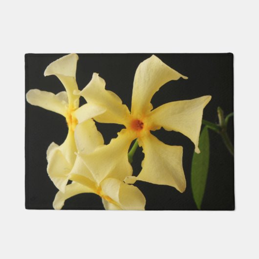 スタージャスミンフラワーズダム ドアマット (正面)