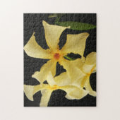 スタージャスミンフラワー11x14 252pc jpcna ジグソーパズル (縦)