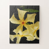 スタージャスミンフラワー11x14 30pc jpcnm ジグソーパズル (縦)