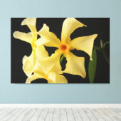 スタージャスミンフラワー60x40 (150x100cm)ワッカ キャンバスプリント (インサイチュ (ウッドフロア))