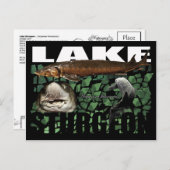 スタージョン湖 – コラージュ – はがき (正面/裏面)