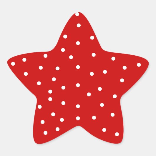 スターステッカー 星シール (正面)