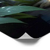 スターストライクアイデジタルファンタジーアートプリントカエル ポスター (角)