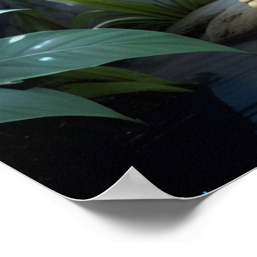 スターストライクアイデジタルファンタジーアートプリントカエル ポスター (角)