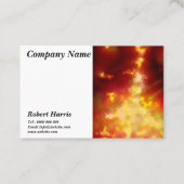 スターズナイトスカイミッドナイトフレーム 名刺 (正面)