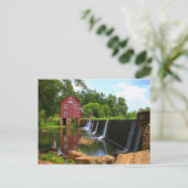 スターズミルダム ポストカード (スタンド正面)