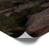 スターズミル ポスター (角)