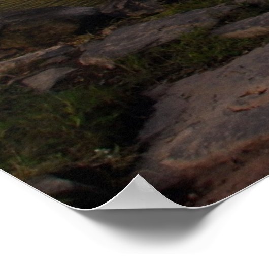 スターズミル ポスター (角)