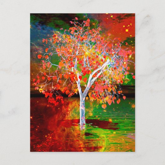 スターツリーポストカード ポストカード (正面)