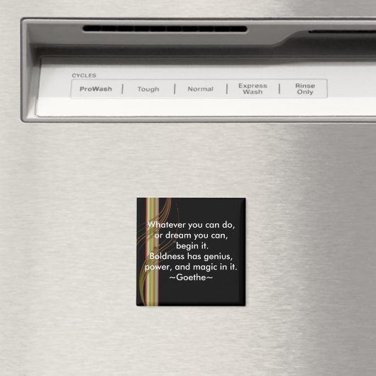 スタート・ゲーテ磁やる気を起こさせる石 マグネット (インサイチュ (食洗機))