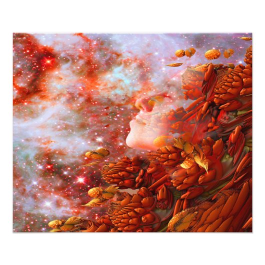 スタードリーム フォトプリント            (正面)