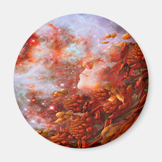 スタードリーム マグネット (正面)