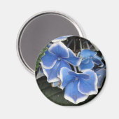 スターバストアジサイ(青と白)磁石 マグネット (正面/裏面)