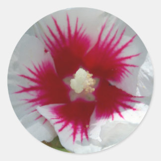 スターバストキス!シール ラウンドシール