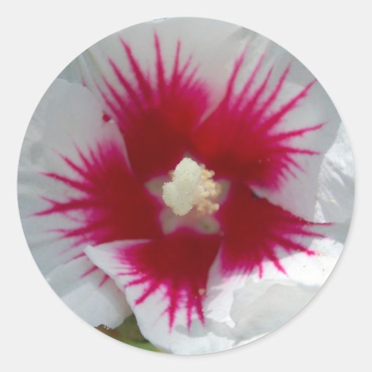 スターバストキス!シール ラウンドシール (正面)