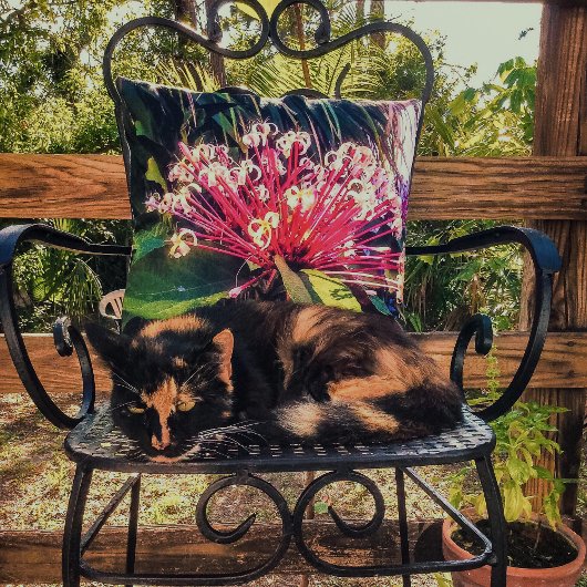 スターバストクレロデンドラムフラワー装飾用クッション クッション