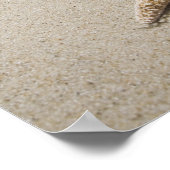 スターフィッシュオンビーチバイアトランティック海 ポスター (角)