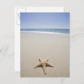 スターフィッシュオンビーチバイアトランティック海 ポストカード (正面/裏面)
