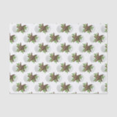 スターフィッシュサンドドルトロピカルクリスマスパターン 薄葉紙 (正面)