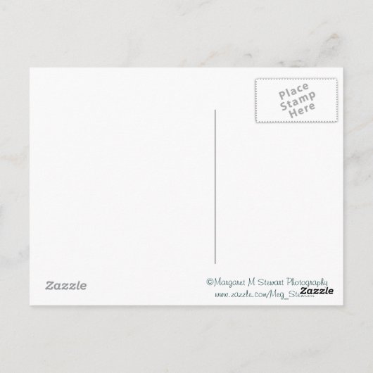 スターフィッシュセレニティ祈りの言葉はがき ポストカード (裏面)