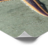 スターフィッシュパープルシースターオンビーチ ポスター (角)