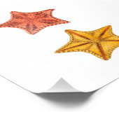 スターフィッシュビーチシー航海のバスルームプリント フォトプリント            (角)