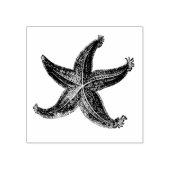 スターフィッシュヴィンテージエッチング海の星海をテーマ ラバースタンプ (インプリント)