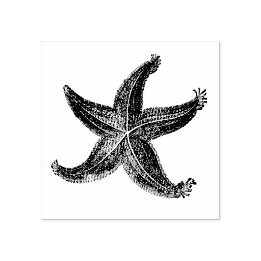 スターフィッシュヴィンテージエッチング海の星海をテーマ ラバースタンプ (インプリント)