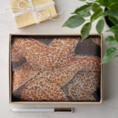 スターフィッシュ写真のデコパージュ 薄葉紙 (ギフト)