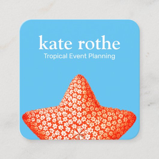 スターフィッシュ名刺 スクエア名刺 (正面)