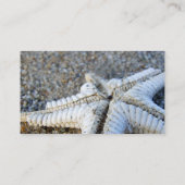 スターフィッシュ名刺 名刺 (裏面)