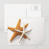 スターフィッシュ葉書 ポストカード (正面/裏面)