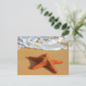 スターフィッシュ葉書 ポストカード (スタンド正面)