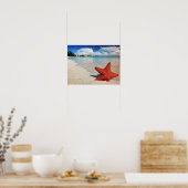 スターフィッシュ、ナッソー、バハマ ポスター (キッチン)