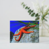 スターフィッシュ–452926明るい赤いヒトデの写真 ポストカード (スタンド正面)