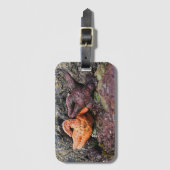 スターフィッシュatボブクリークOR ラゲッジタグ (正面縦)