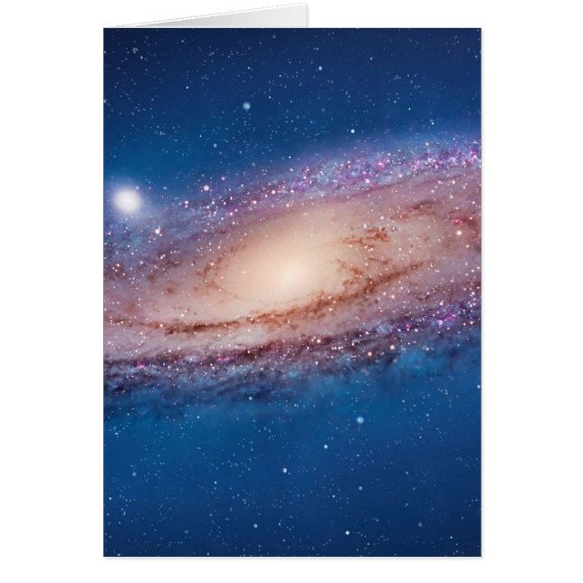 スターフィールド (正面)